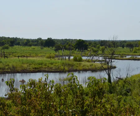 Keystone WMA, photo by Jennifer Benge
