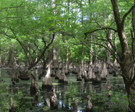 Little River NWR, photo by Jena Donnell
