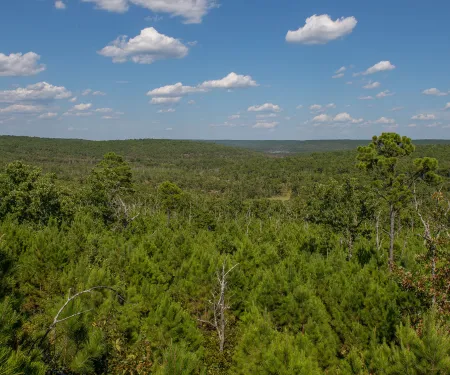 McGee Creek WMA, photo by Kelly Adams