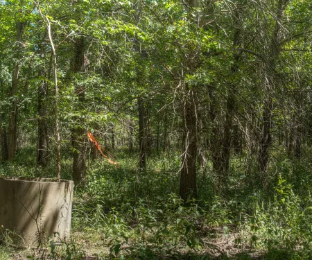 Oologah WMA, photo by Steve Webber