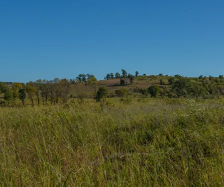 Osage WMA, Western Wall Unit