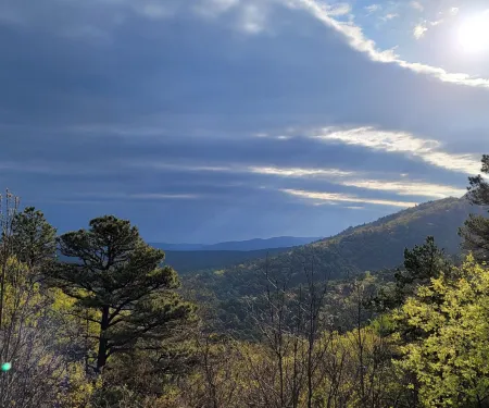 Ouachita WMA Leflore Unit, photo by Randall Latham RPS 2021