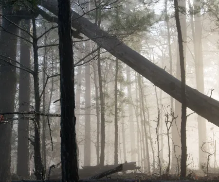 Ouachita, photo by Chris Kotlowski