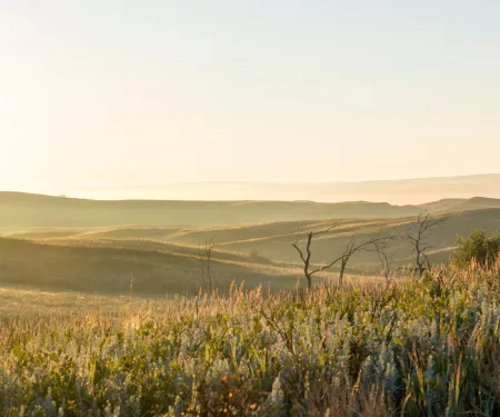 Packsaddle WMA, phot by Kelly Adams