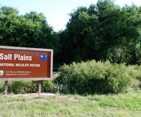 Salt Plains NWR, photo by Steve Webber