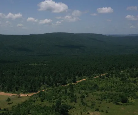 Sans Bois WMA, photo by Don Brown