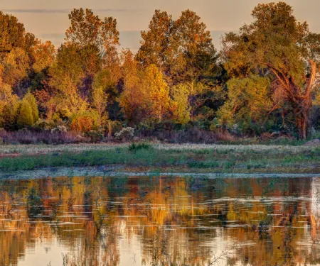Sequoyah NWR, photo by STeve Webber