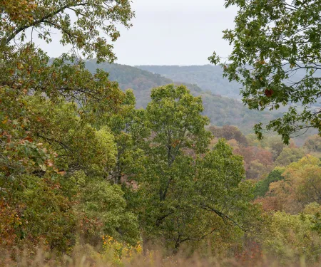 Spavinaw WMA, photo by Smokey Solis