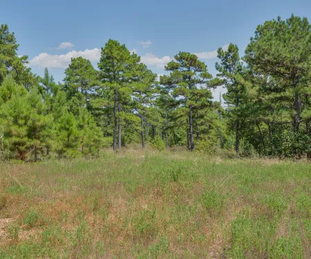 Stringtown WMA, photo by Kelly Adams