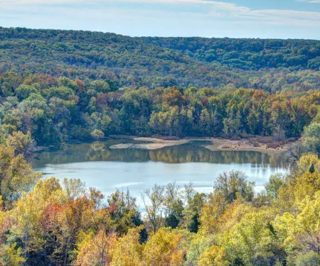 Tenkiller WMA, photo by Steve Webber