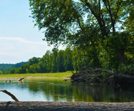 Thomas A. Bamberger Sr. WMA, photo by Skylar St. Yves