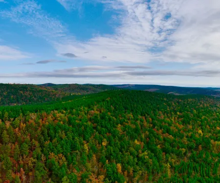 Three Rivers WMA, photo by Darrin Hill