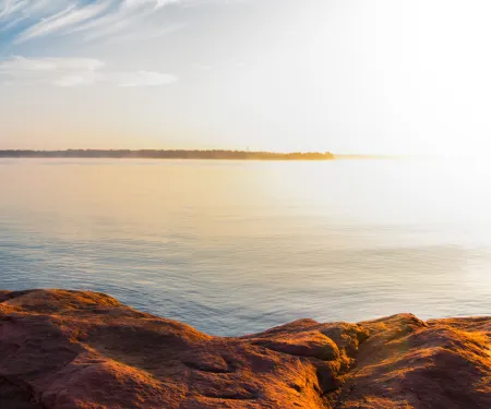 Thunderbird, photo by Sam Cooper RPS 2014