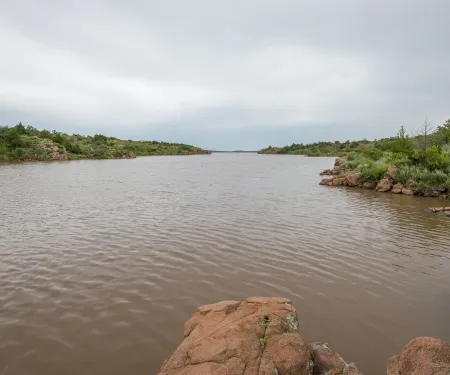 Tom Steed, photo by Kelly Adams