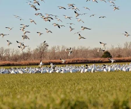 Washita NWR, photo by Jeremiah Zurenda
