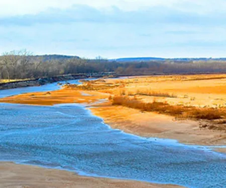 Whitegrass Flats WMA