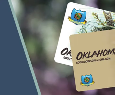 Newly Released, 2021 Hard Cards, upgrade your license to a durable card