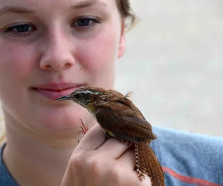 Woman holding bird on hand.  She might be a princes...