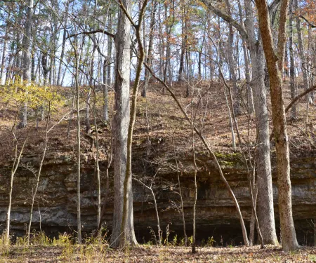 Cookson WMA, photo by Jena Donnell