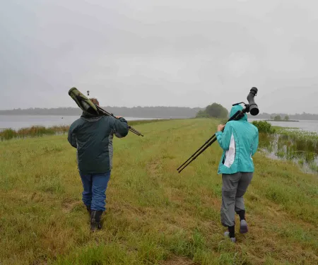 Bird watchers on wma.