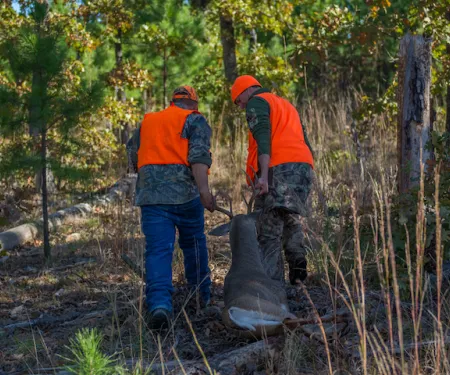 Two people pull a harvested buck out of the woods from Skiatook Lake.