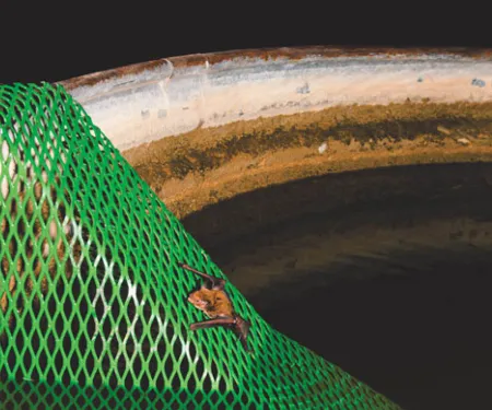 Bat escape ramp. Photo from NRCS