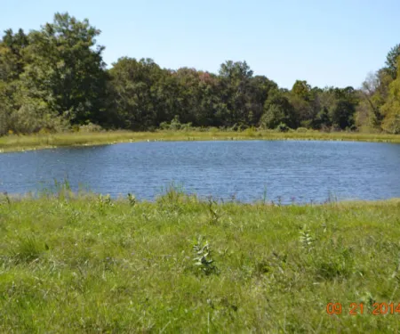 Farm Pond, photo by William McCoy/USFWS