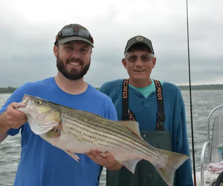 Fisheries staff show a striped bass.