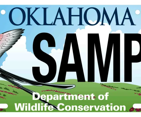 Scissor-tailed Flycatcher license plate.