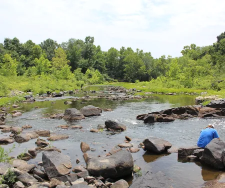 SWOSU & OU students search water for mayfly caddisfly.  Photo provided by SWOSU