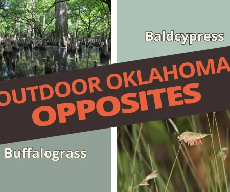 Outdoor Oklahoma Opposites