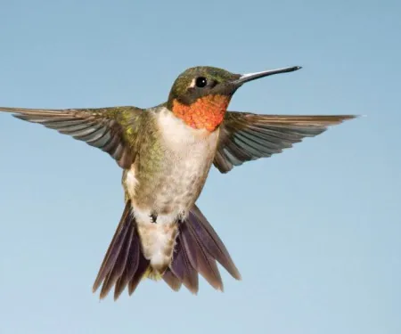 RTHU, photo by Russ Wigh/Flickr