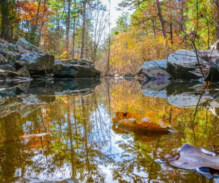 Robbers Cave State Park, photo by Brett Day/RPS 2019