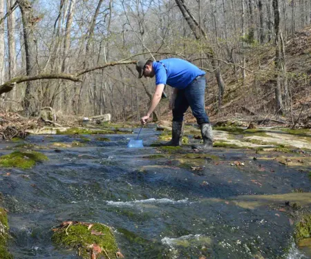 Man surveying creek for salamanders.