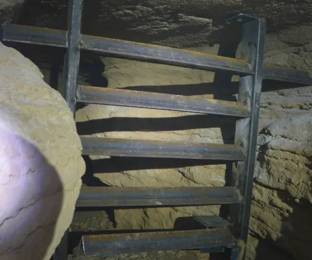 Iron gate protecting cave with bats in it.