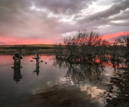 Duck hunters stand in a pool of water setting out decoys. Photo by Sarah Southerland