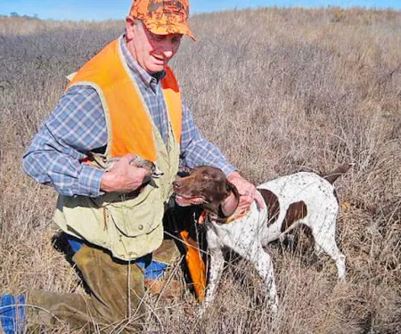 Man with dog and quail in the field.