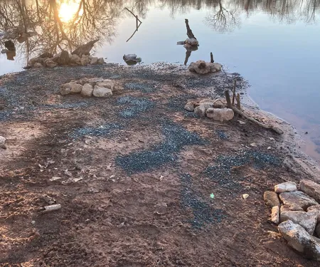 Pond habitat management shoreline.