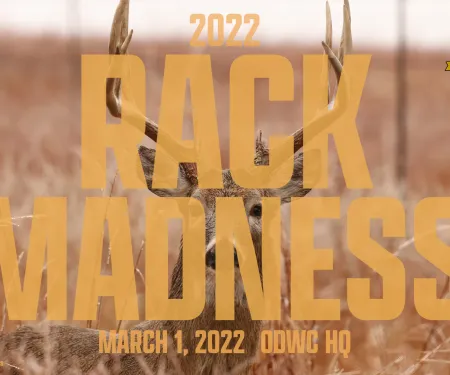2022 Rack Madness