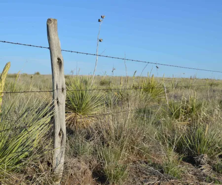 Barbwire fence with wooden post in field.