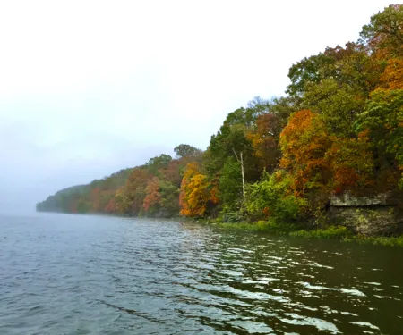 Fall Image of Eucha.