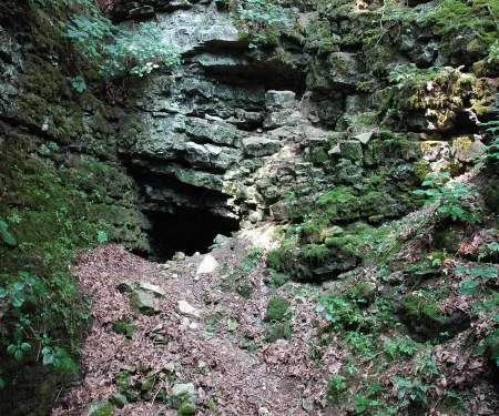 Ozark Plateau NWR.  USFWS Photo