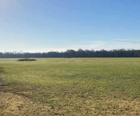 Tishomingo WMU, photo by John Carter