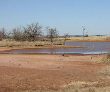 A pond with an exposed bank.