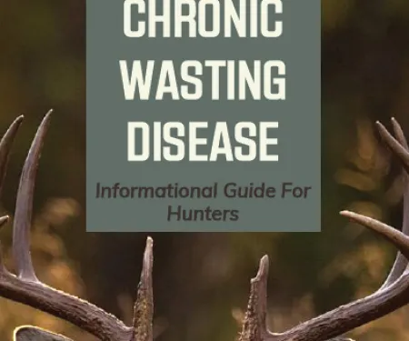 2022 Cervid Import & Chronic Wasting Disease (CWD) Info