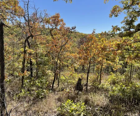 Okmulgee GMA, photo by Jay Rouk