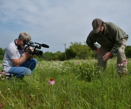 A photo of an Outdoor Oklahoma video crew member crouched down with a video camera next to a biologist who is talking about Oklahoma butterflies