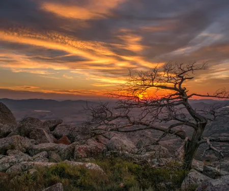 A standing dead tree stands among granite boulders with orange red sky in the background.