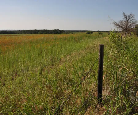 Barbed wire fence in the foreground with a large open field leading to dense woods in the background on private hunting land.