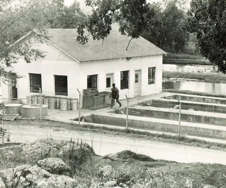 A black and white photo of a Wildlife Department employee walking outside of the fish hatchery. 